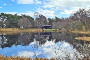 Lochside Log Cabin